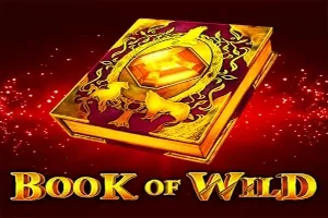 Book Of Wild slot