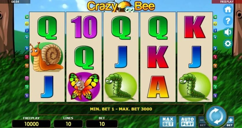 Crazy Bee slot