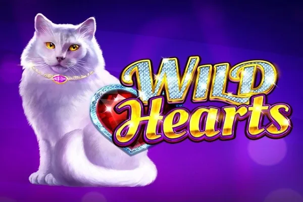 Wild Hearts slot