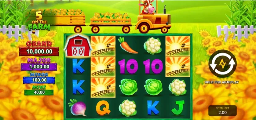 5 On The Farm slot