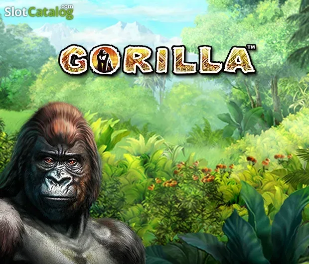 Gorilla slot