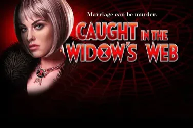 Caught in the Widow's Web slot