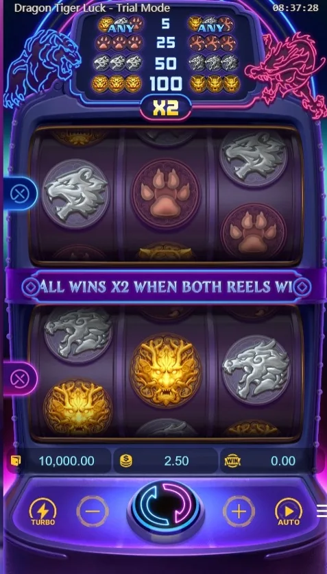 Dragon Tiger Luck slot