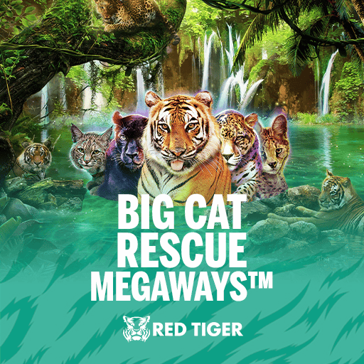Big Cat Rescue Megaways slot