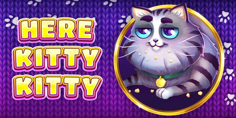Here Kitty Kitty slot
