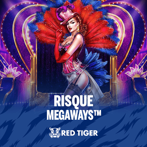 Risque Megaways slot