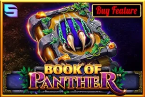 Book Of Panther slot
