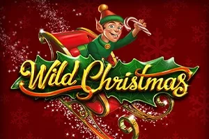 Wild Christmas™ slot