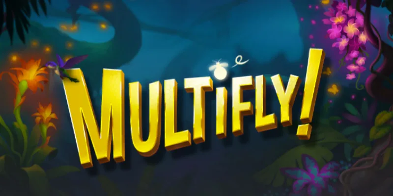 Multifly slot