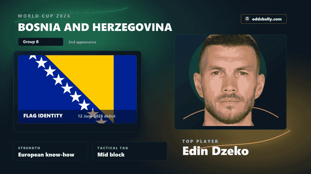 Bosnia and Herzegovina World Cup 2026 team bitmap with the Bosnia and Herzegovina flag and Edin Dzeko headshot